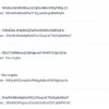 Blockchain Wallet