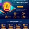 Plusbit investment scam