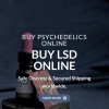 On-line sale of controlled substances 