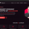 Fake Tesla / Elon Musk cryptocurrency giveaway scam