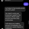 Investment scam