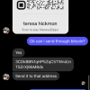 facebook verification scan