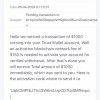 fake TrustWallet activation fee